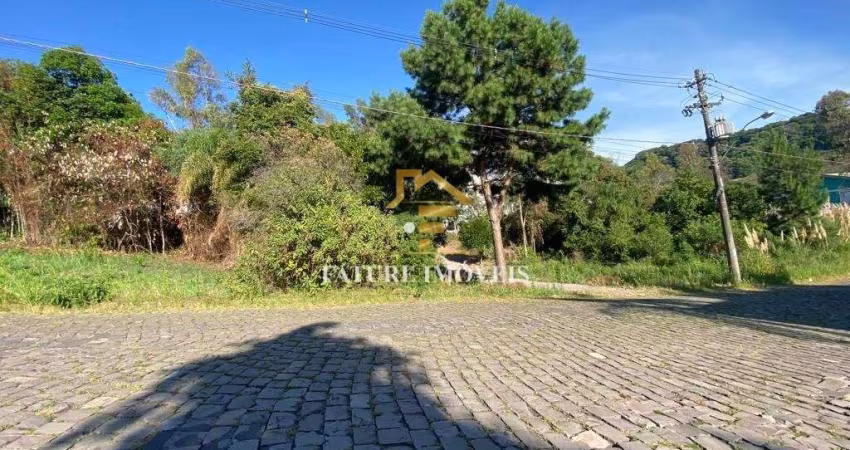 Terreno à venda na Jeronimo Demori, São Luiz, Caxias do Sul