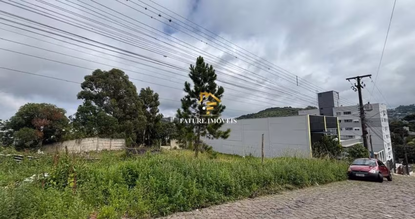 Terreno à venda na José Menegotto, São Luiz, Caxias do Sul