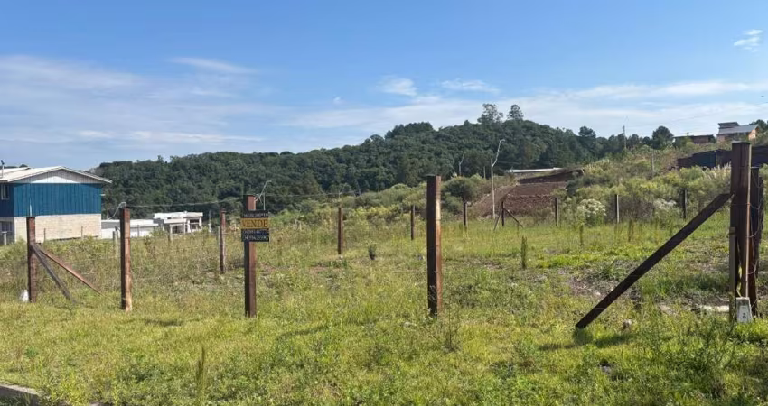 Terreno à venda na Ver. Pedro Rech, São Giácomo, Caxias do Sul
