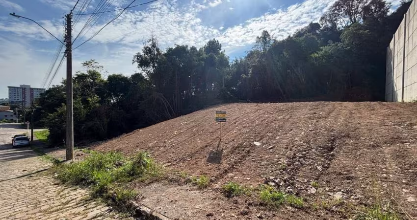 Terreno à venda na Rua Vitório Ivo Rossi, 1, Marechal Floriano, Caxias do Sul