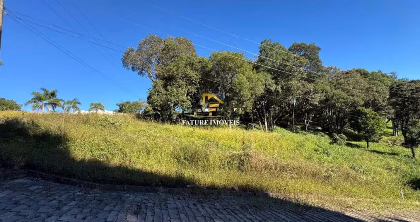 Terreno em condomínio fechado à venda na Thompson Flores, 1, Linha 40, Caxias do Sul
