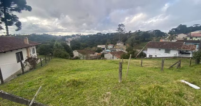 Terreno com 402,35m² sendo 14m de frente em ótima localização em são bento do sul-sc