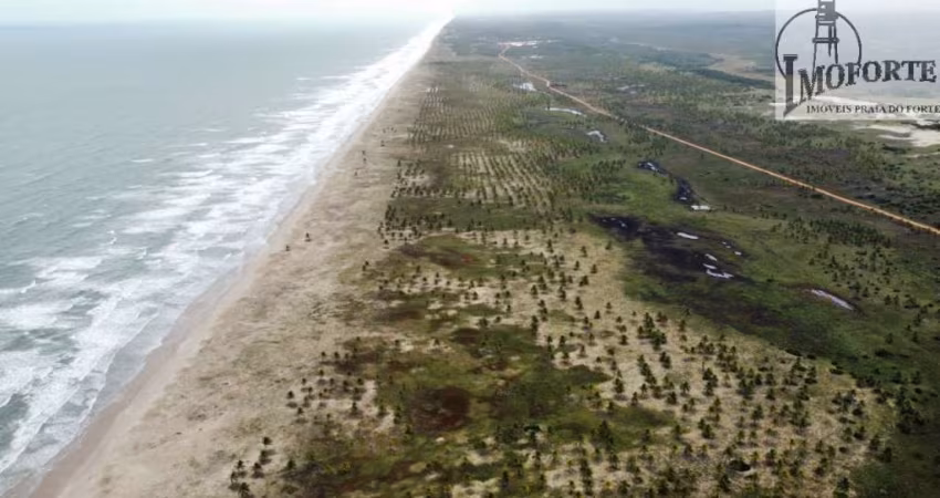 FAZENDA BEIRA MAR EM MANGUE SECO