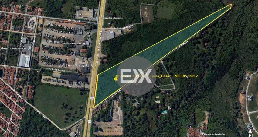 Terreno BR116, 179712 m² - venda por R$ 31.450.000 ou aluguel por R$ 150.000/mês - Paupina - Fortaleza/CE