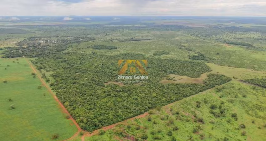 Fazenda, 1.089 alqueires - Centro - Pium/TO