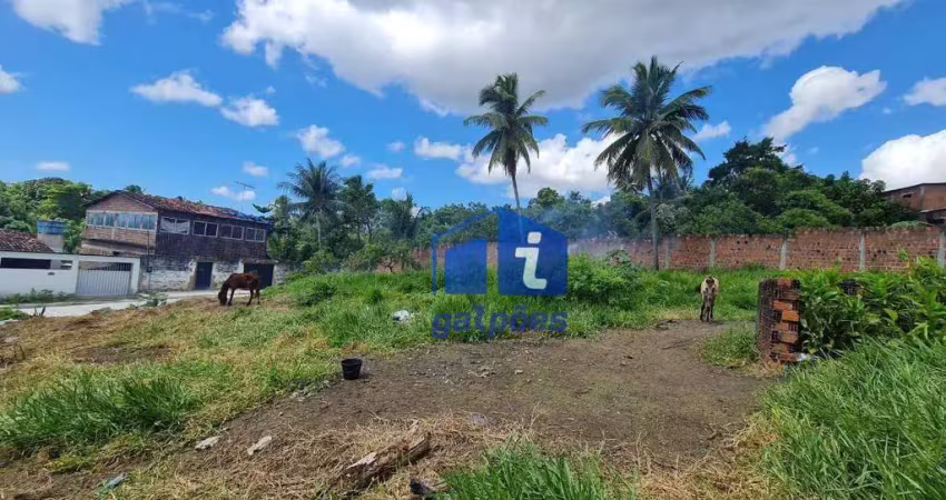 Terreno comercial à venda na Avenida Antônio Vicente Novelino, 29, Encanto Igarassu, Igarassu