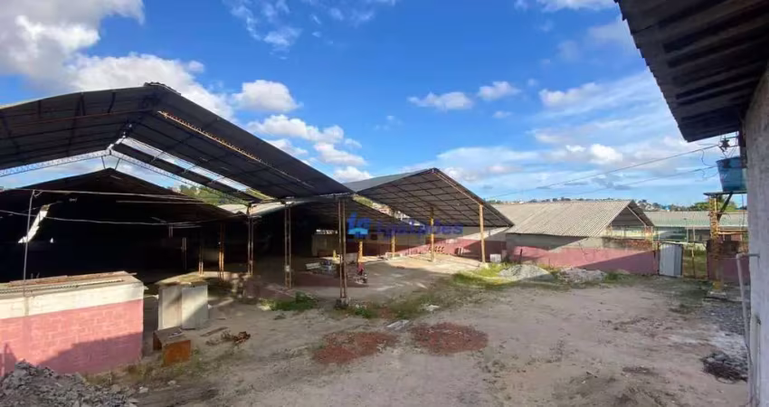 Terreno com 3.000 m², parcialmente coberto em passarinho, recife - pe