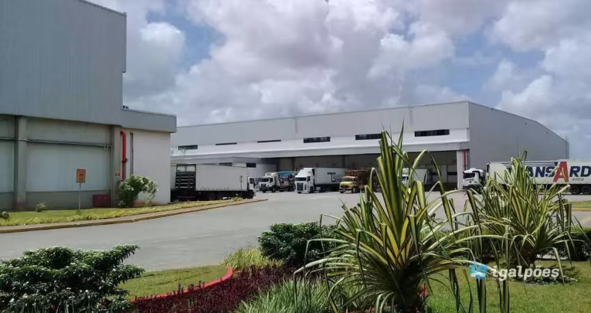 Barracão / Galpão / Depósito para alugar na Rua Riachão, 2, Prazeres, Jaboatão dos Guararapes