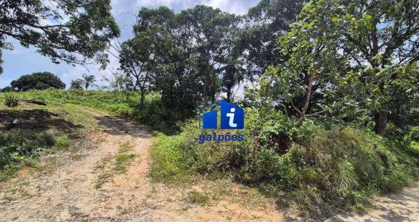 Terreno com 21.000 m² às margens da pe-17 em jaboatão dos guararapes - pe