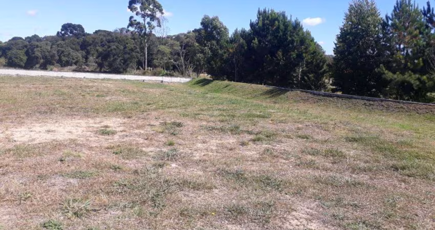 Terreno à venda no bairro Campo Largo da Roseira - São José dos Pinhais/PR