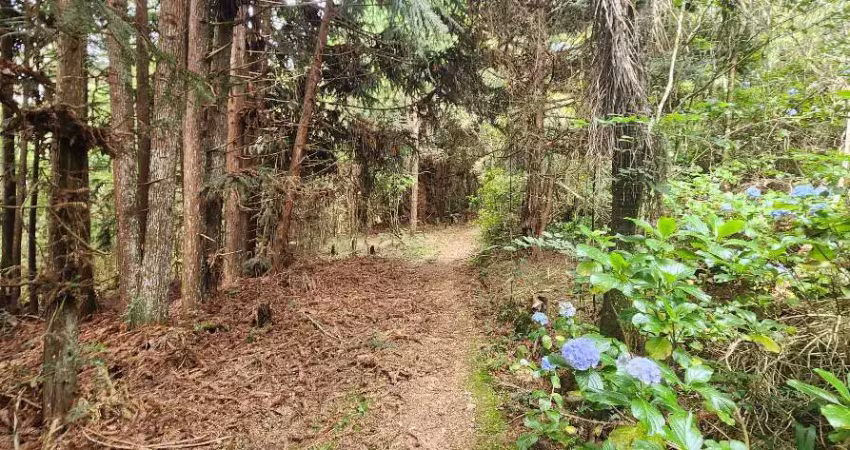 Chacara proximo do caminho do vinho, são josé dos pinhais/pr
