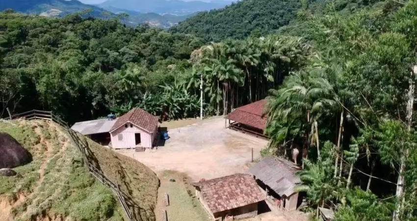 Chácara / sítio com 6 quartos à venda na Vila Doze, Antônio Carlos 