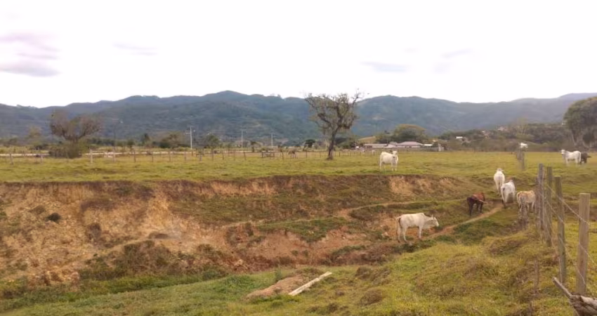 Sítio em Três Riachos - Biguaçu