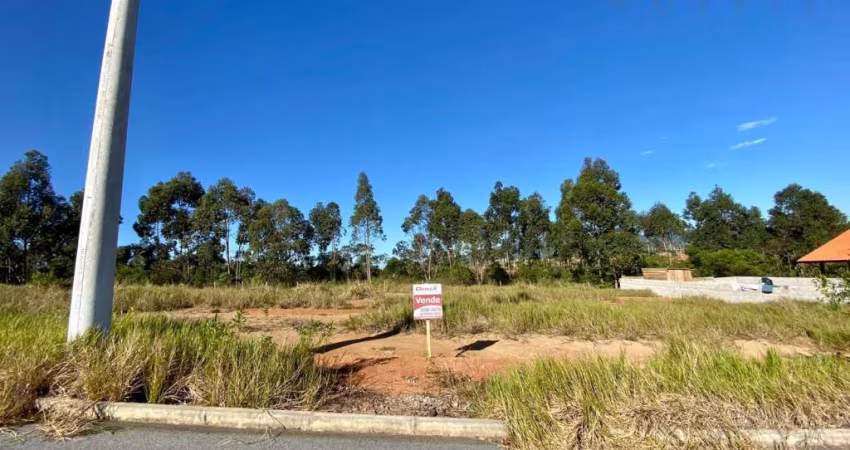 Terreno em Areias do Meio  -  Governador Celso Ramos