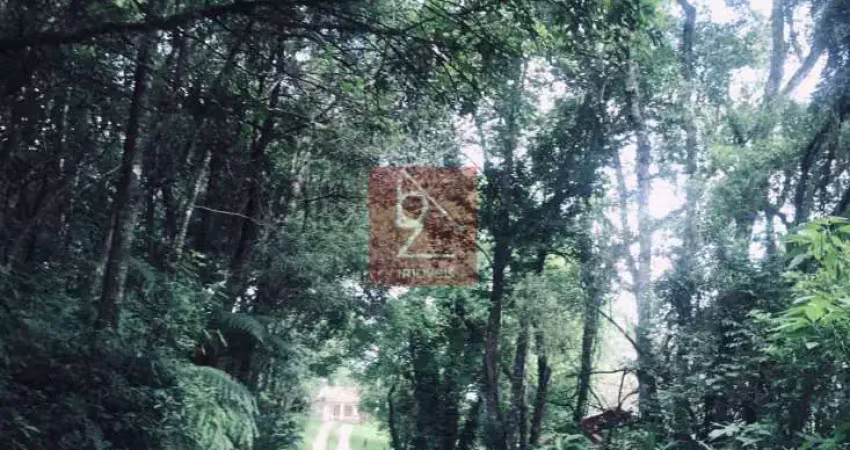 Terreno 10 mil m² zr-2 prédio até 4 andares  abranches r$4.500.000,00