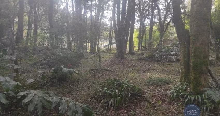 Terreno à venda no bairro Ana Rech em Caxias do Sul/RS