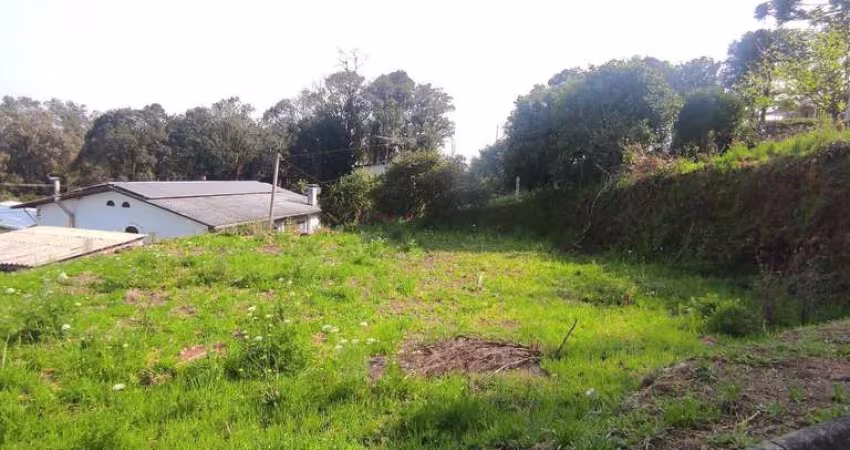 Terreno à venda no bairro São Gotardo (Distrito) - Flores da Cunha/RS