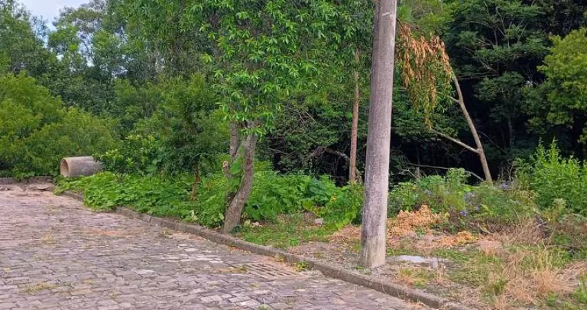 Terreno à venda no bairro Nossa Senhora das Graças - Caxias do Sul/RS