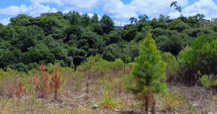 Terreno à venda no bairro São Giácomo - Caxias do Sul/RS