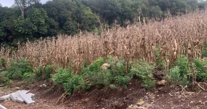 Terreno à venda no bairro Nova Roma (Distrito) - Flores da Cunha/RS