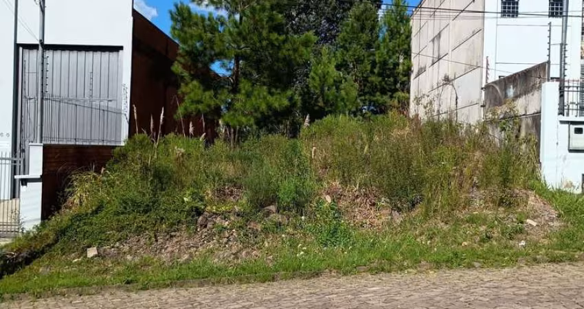 Terreno à venda no bairro Sanvitto - Caxias do Sul/RS