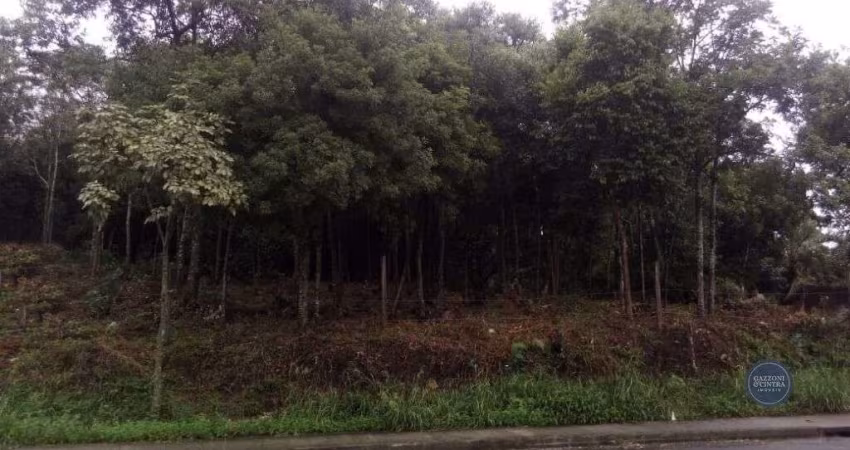 Terreno à venda no bairro Desvio Rizzo em Caxias do Sul/RS