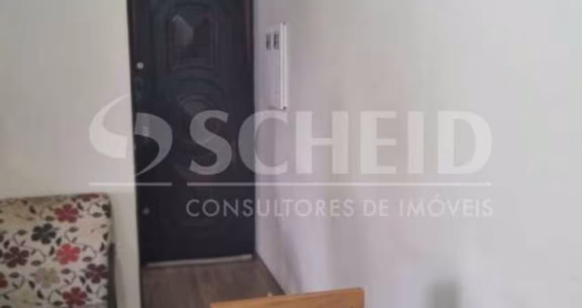 Apartamento no Parque dos Passaros 3 dormitórios na Rua Engenheiro José Sales