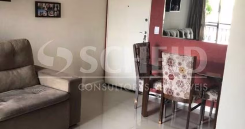 Apartamento - Jardim Marajoara