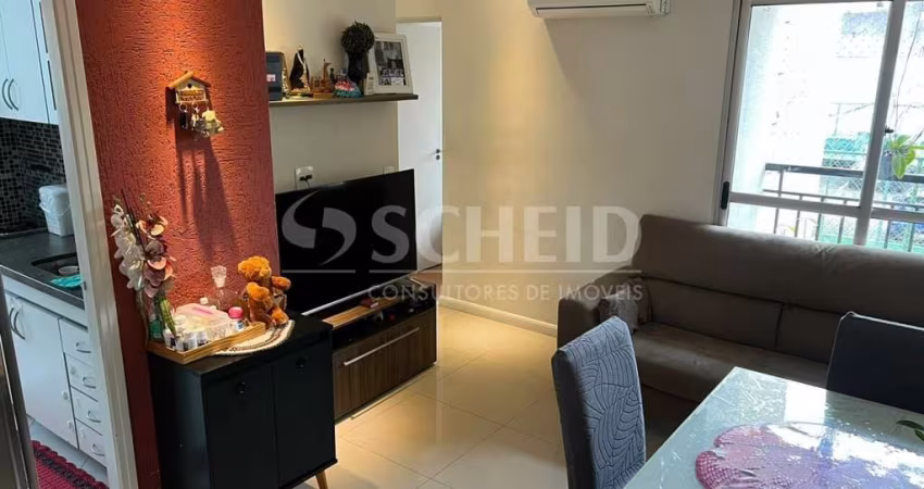 Apartamento - Jardim Marajoara