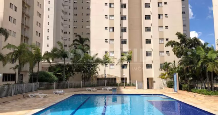 Vende-se apartamento, 70m2, 3 dormitórios, 1 vaga - jardim aeroporto
