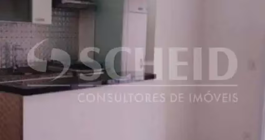 Apartamento com 2 quartos para alugar na Rua José Homero Roxo, --, Jardim Marajoara, São Paulo