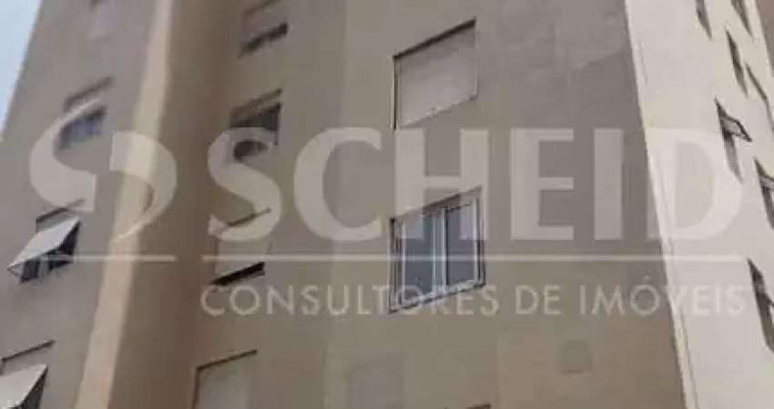 Apartamento mobiliado à venda  3 dorms (1 suíte)  1 vaga campo belo