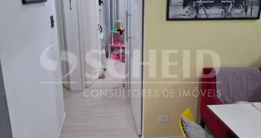 Apartamento para locação de 65,00m² útil, com 3 quartos e 1 vaga na vila mascote!
