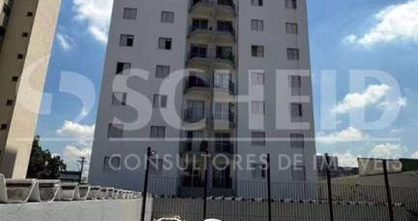 LINDO APT NA VILA SANTA CATARINA
