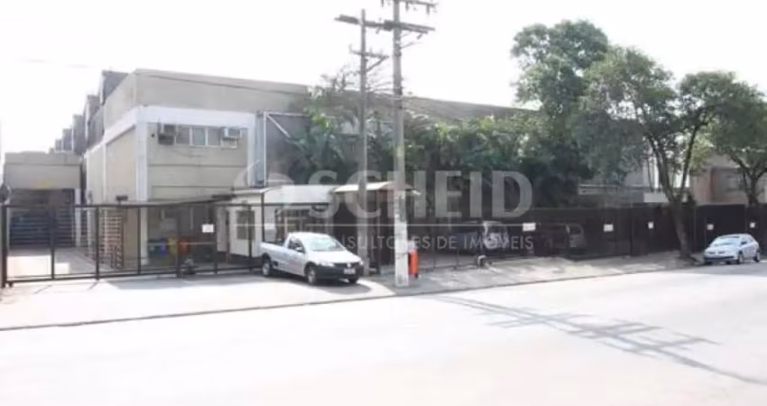 Barracão / Galpão / Depósito para alugar na Avenida Humberto Alencar Castelo Branco, --, Assunção, São Bernardo do Campo