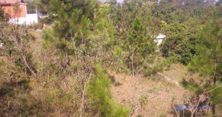 Terreno à venda, 2720 m² por r$ 330.000,00 - veraneio ijal - jacareí/sp