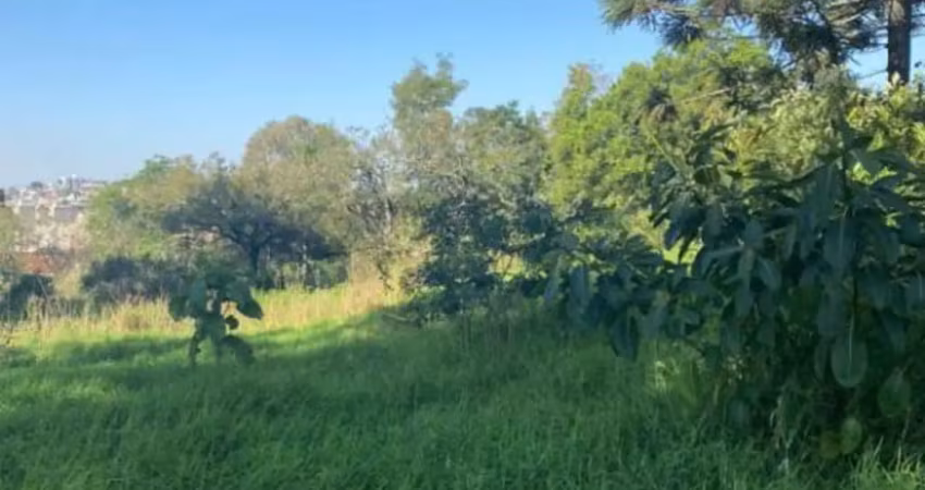 Terreno no boa vista à venda, 2005 m² por 3.890.000,