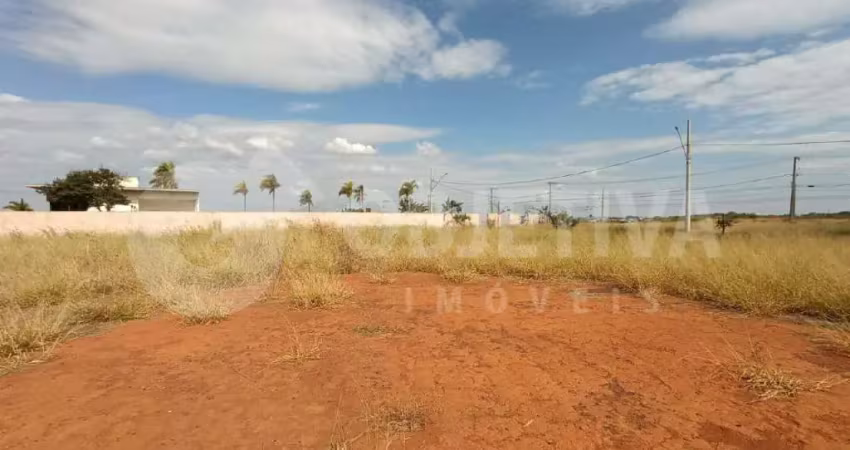 Oportunidade única e exclusiva no bairro planejado praça alto umuarama em uberlândia