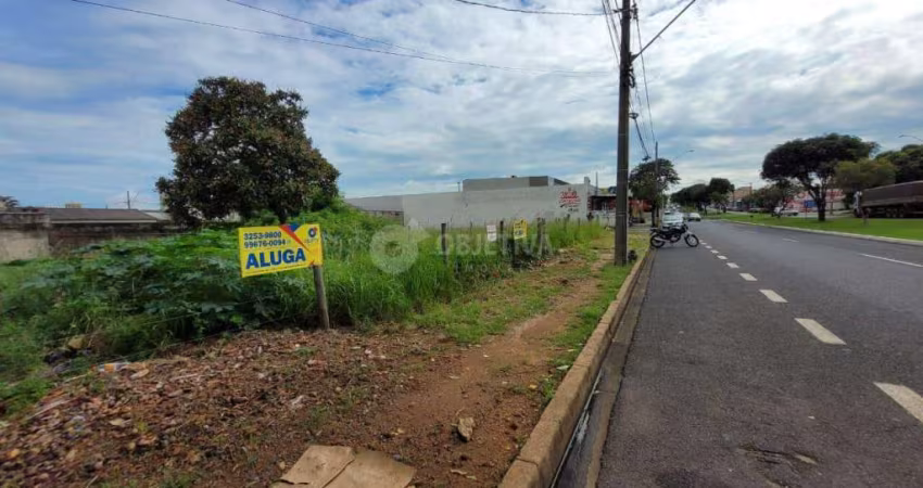 Ótima área no bairro Jardim Botânico para aluguel