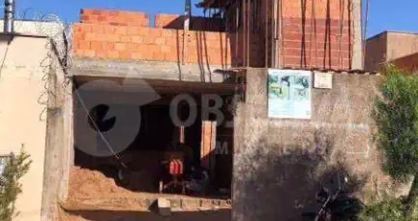 Casa com 3 quartos à venda no Novo Mundo, Uberlândia 