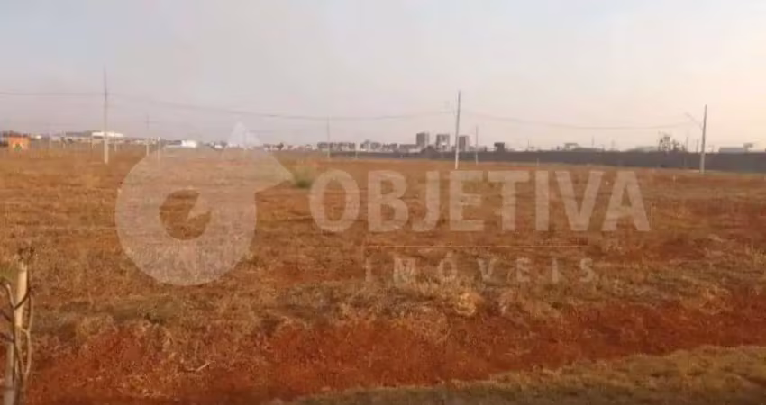 Terreno em condomínio à venda, reserva novo mundo - uberlandia/mg