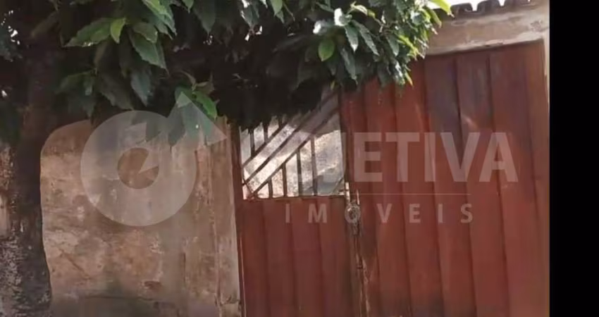 Casa à venda, 2 quartos, 2 vagas, LARANJEIRAS - UBERLANDIA/MG