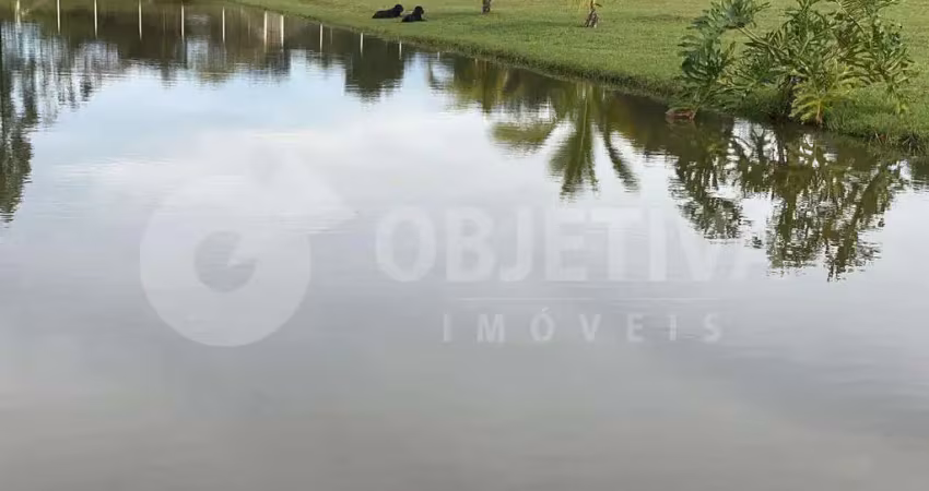 Fazenda à venda, 2 quartos, 1 suíte, 22 vagas, zona rural - uberlandia/mg