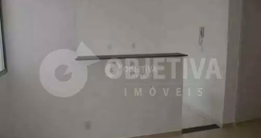 Apartamento para aluguel, 2 quartos, 1 vaga, shopping park - uberlandia/mg