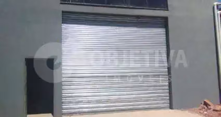 Galpão para aluguel, 2 vagas, sao jorge - uberlandia/mg