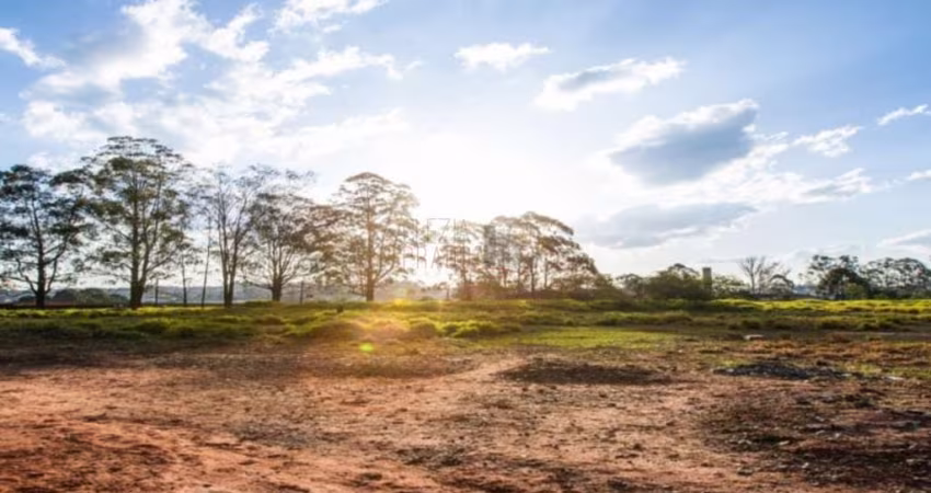 Terreno comercial para alugar no Alvarenga, São Bernardo do Campo 