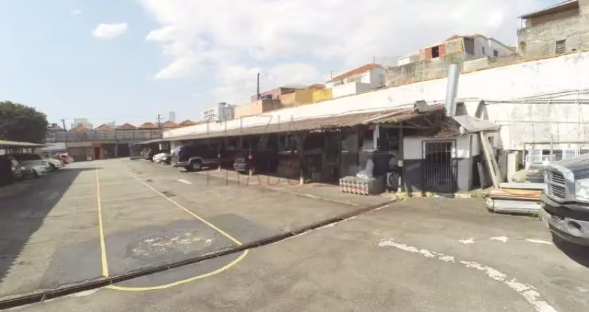 Terreno comercial para alugar no Alto da Mooca, São Paulo 