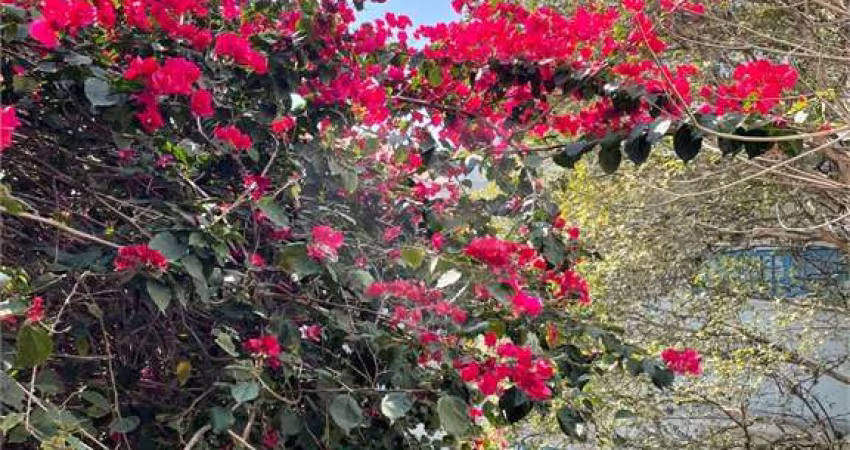 Casa de vila com 5 quartos à venda em Jardim Paulistano - SP