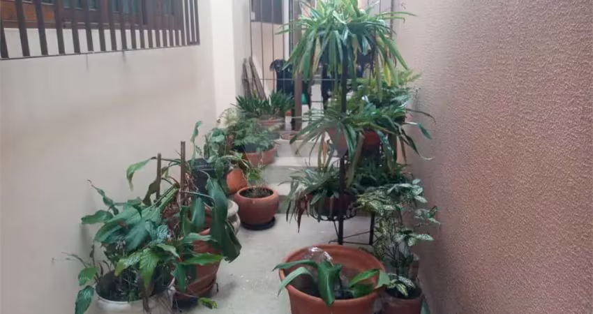 Casa térrea com 3 quartos à venda em vila ipojuca - sp