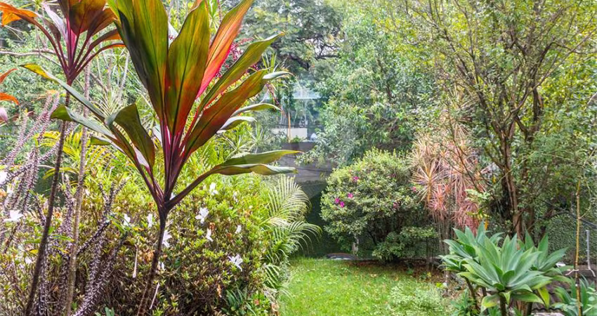 Casa com 3 quartos à venda em Sumaré - SP